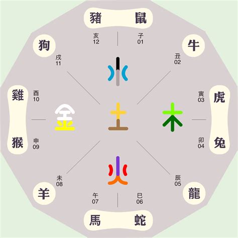 盛五行|盛字的五行属性